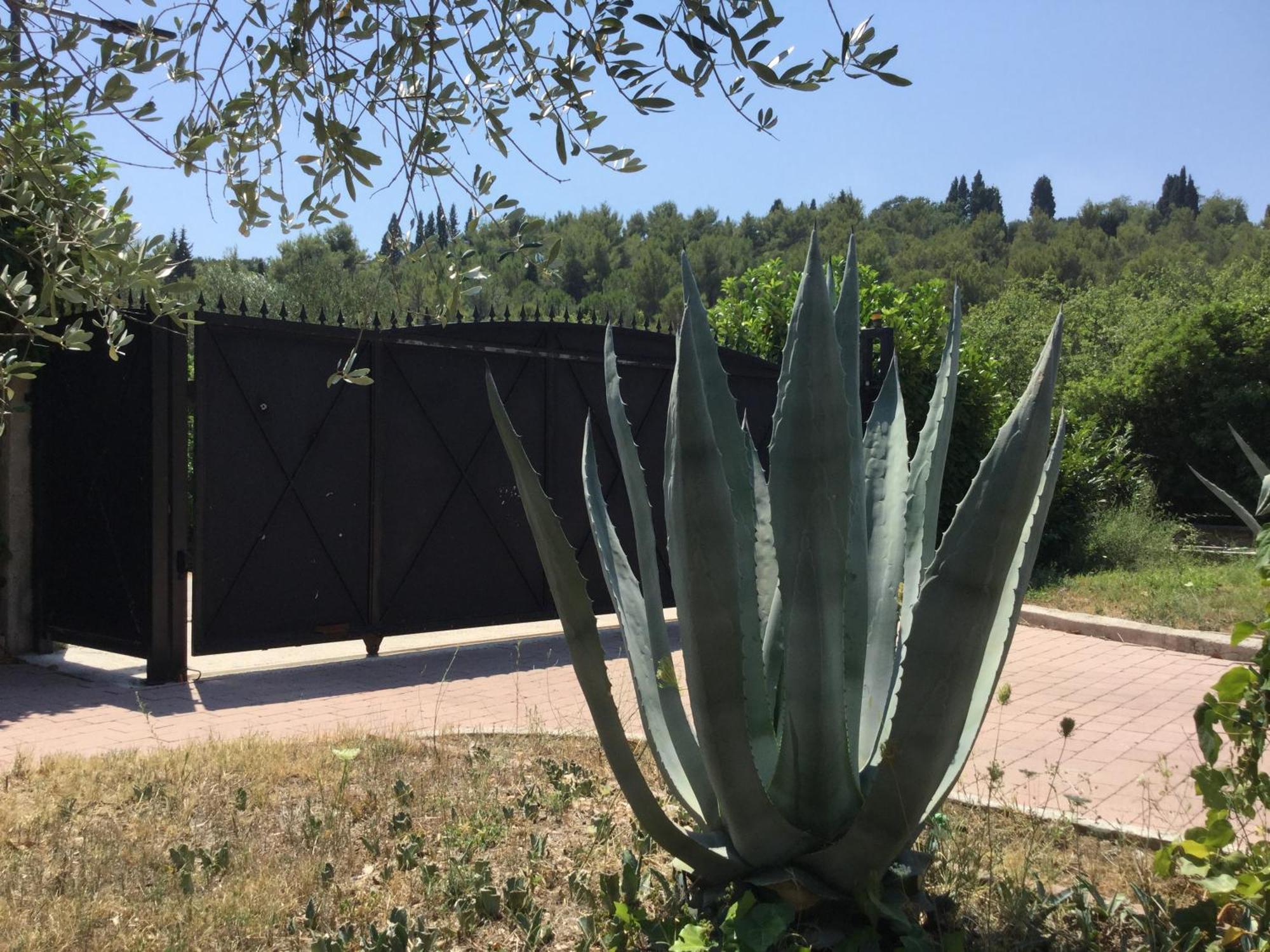 קלק Villa Pax Maris מראה חיצוני תמונה